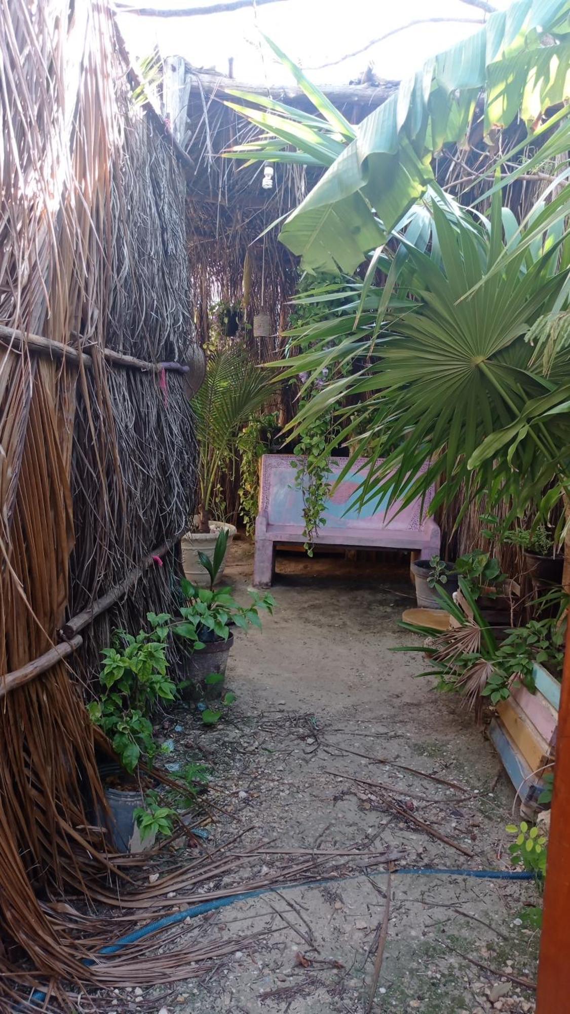 Aparthotel Casa Vainilla Holbox Island Zewnętrze zdjęcie
